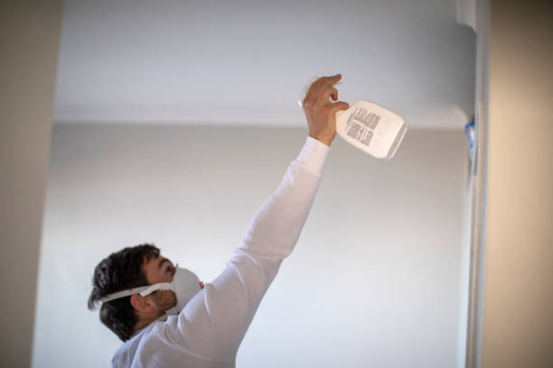 Best Mold Remediation for Schools in Mante, CA
